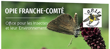 Office pour les insectes et leur environnement de Franche-Comté - OPIE FC